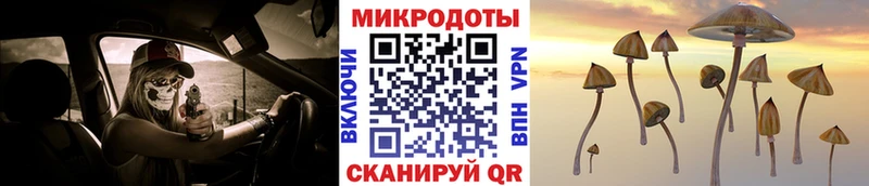 цены наркотик  Камышлов  Псилоцибиновые грибы ЛСД 